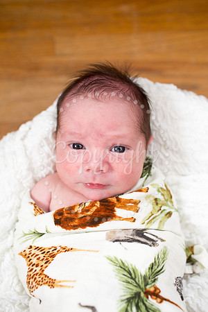 0405LiamsNewbornPictures-6