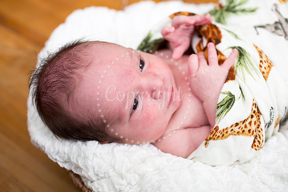0405LiamsNewbornPictures-9