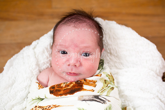 0405LiamsNewbornPictures-5