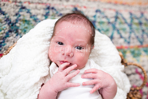 0405LiamsNewbornPictures-13