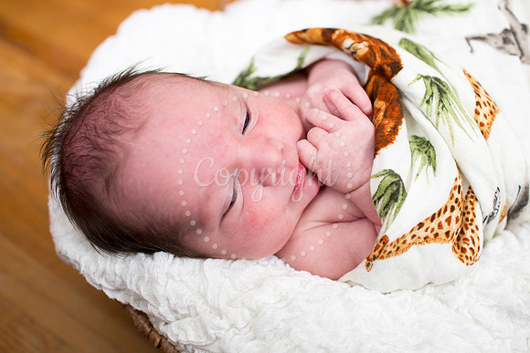 0405LiamsNewbornPictures-10