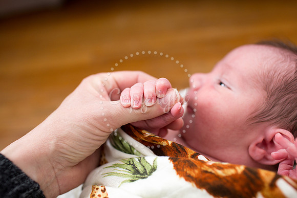 0405LiamsNewbornPictures-8