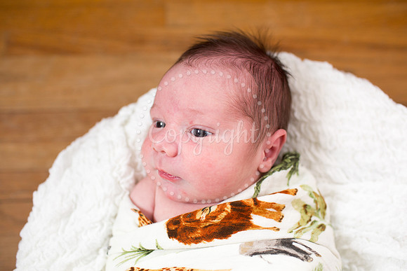 0405LiamsNewbornPictures-4