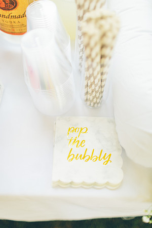 0725AddisonsBridalShower-20
